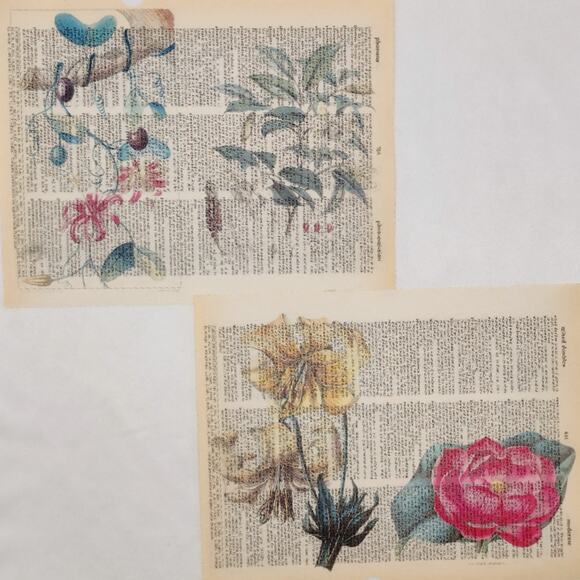 Flower Dictionary Prints 2, Colorful Floral Prints, Book Page Prints - Picture 3 of 6